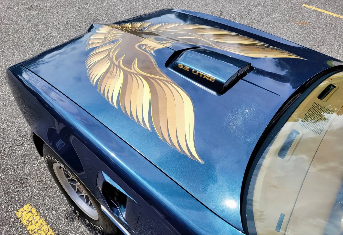 Used 1979 Pontiac Trans Am WS6 | Mundelein, IL