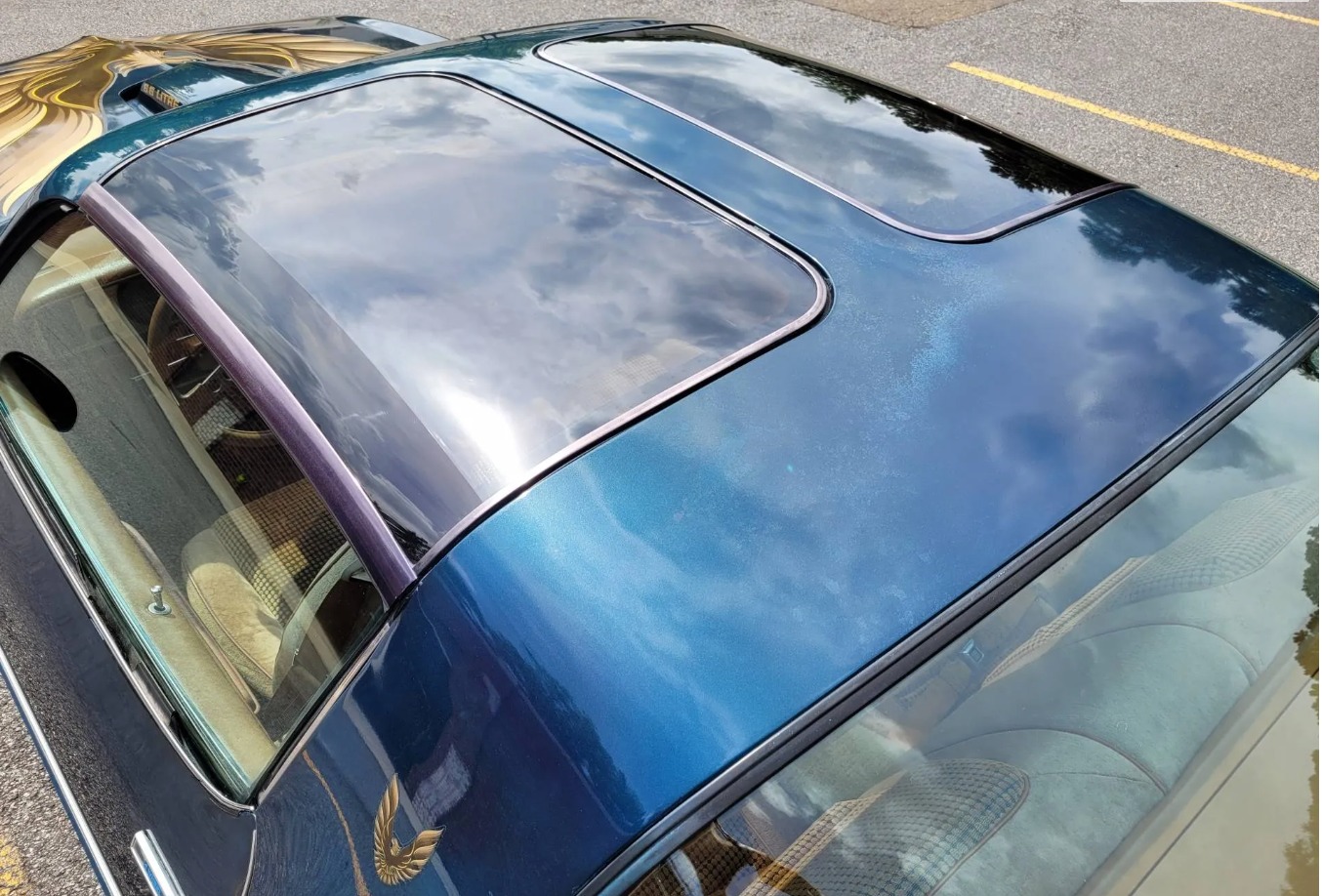 Used 1979 Pontiac Trans Am WS6 | Mundelein, IL