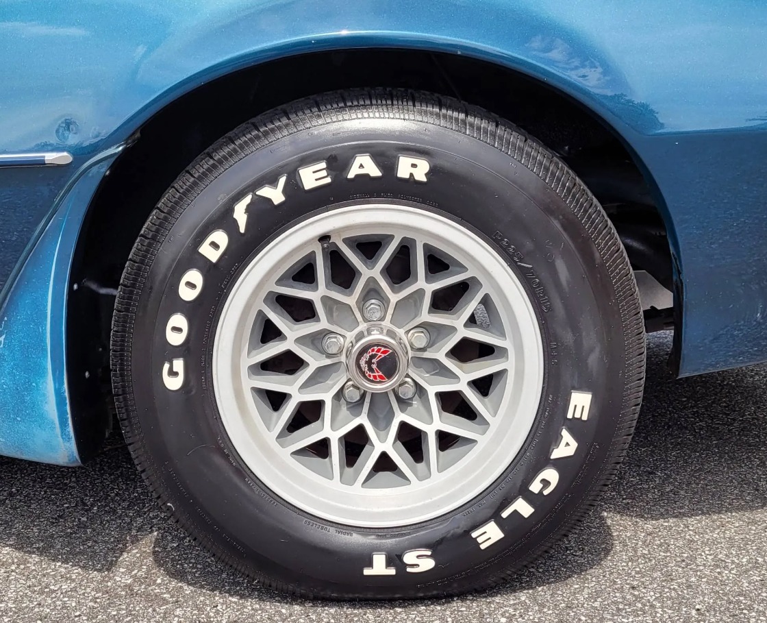 Used 1979 Pontiac Trans Am WS6 | Mundelein, IL