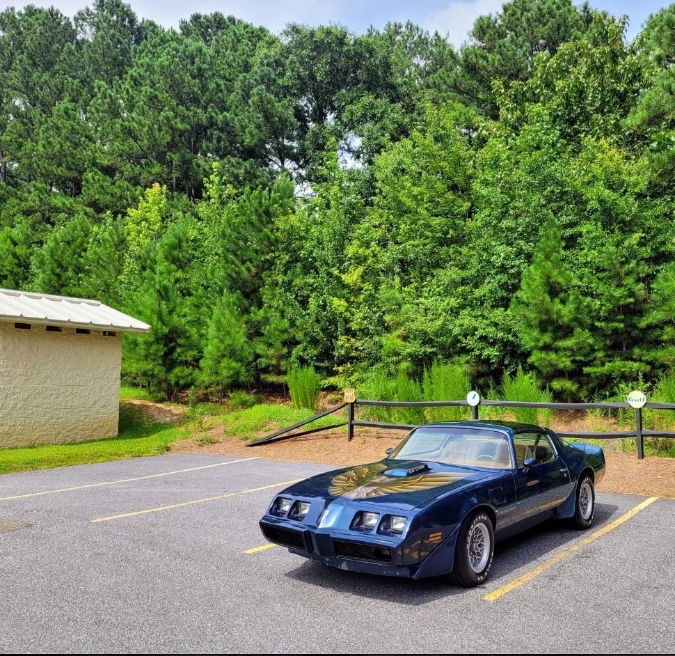 Used 1979 Pontiac Trans Am WS6 | Mundelein, IL