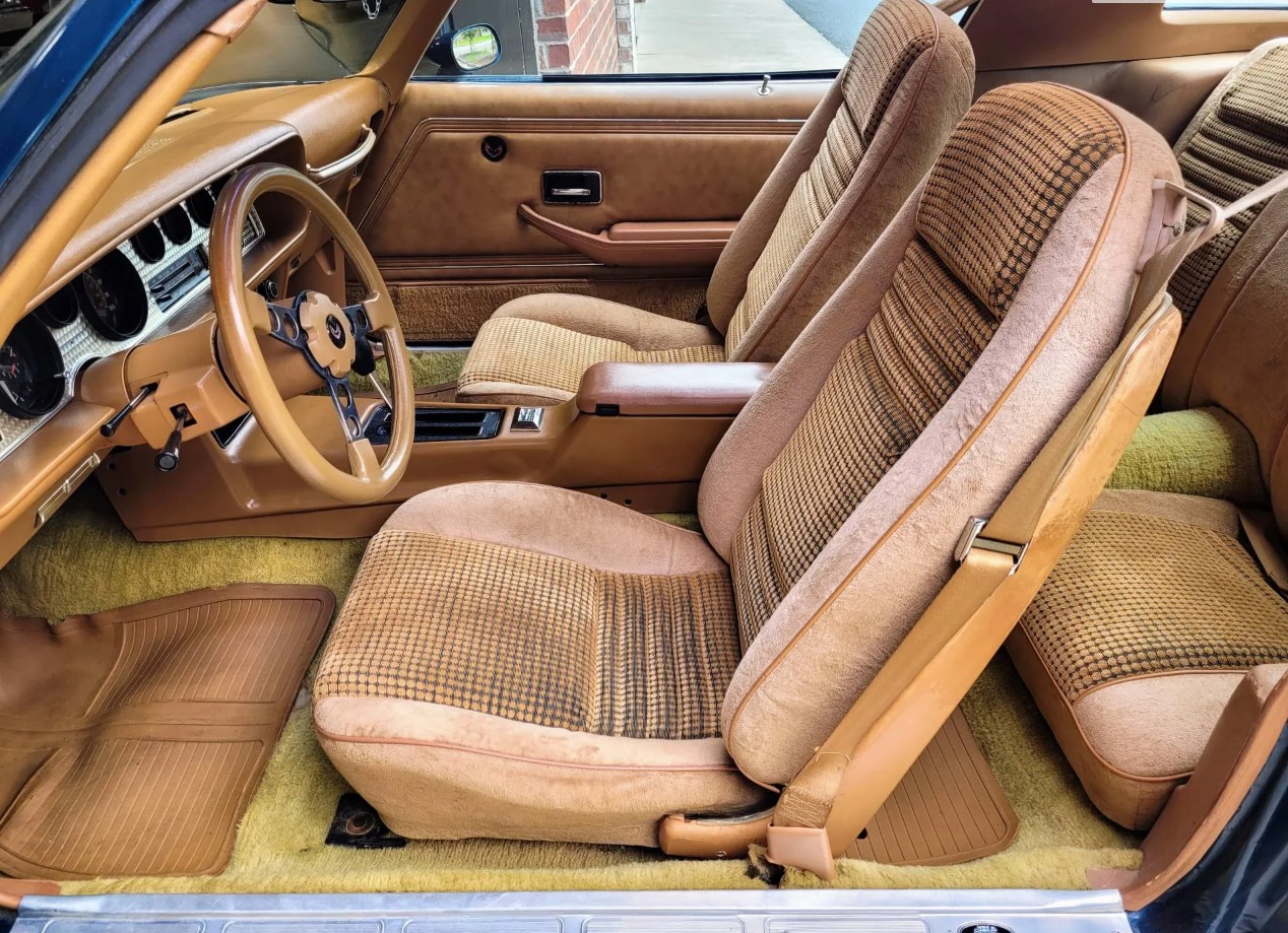 Used 1979 Pontiac Trans Am WS6 | Mundelein, IL