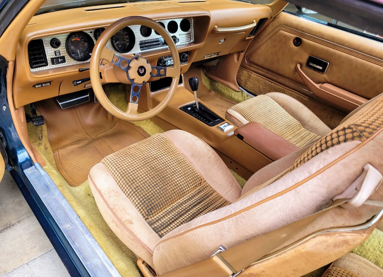 Used 1979 Pontiac Trans Am WS6 | Mundelein, IL