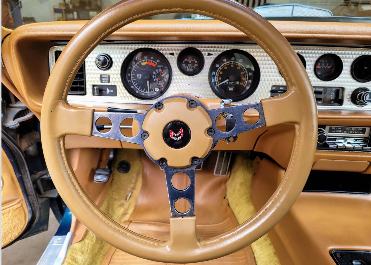 Used 1979 Pontiac Trans Am WS6 | Mundelein, IL