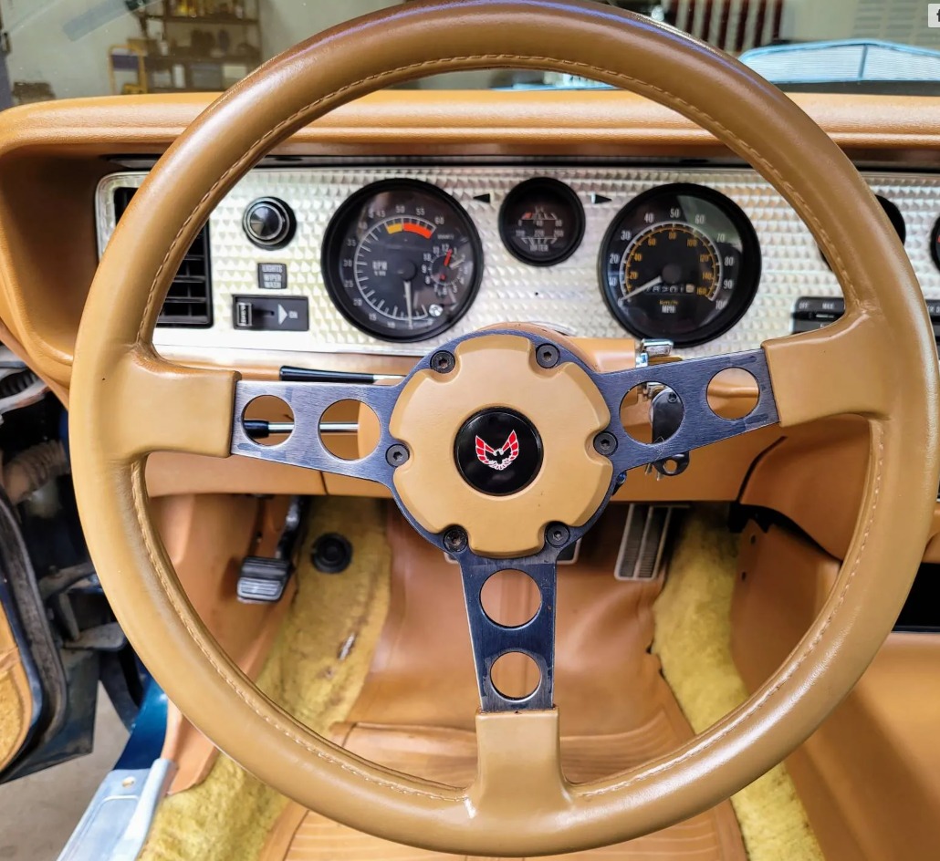 Used 1979 Pontiac Trans Am WS6 | Mundelein, IL