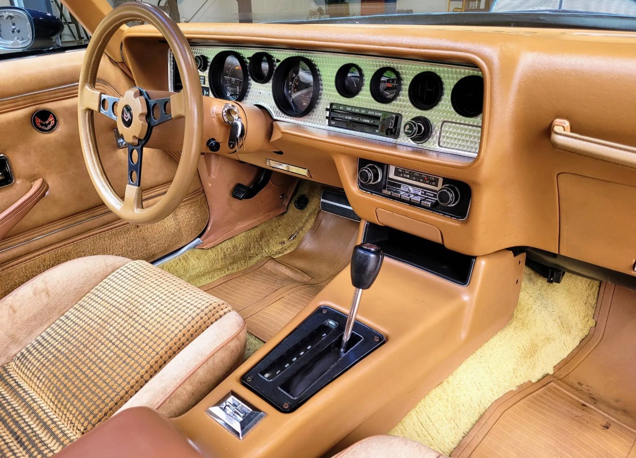 Used 1979 Pontiac Trans Am WS6 | Mundelein, IL