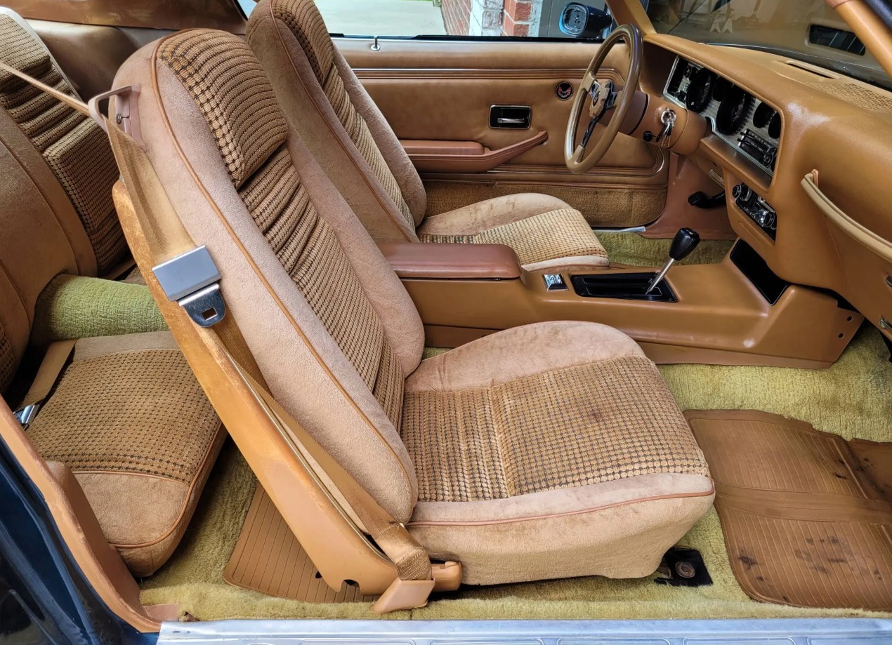 Used 1979 Pontiac Trans Am WS6 | Mundelein, IL