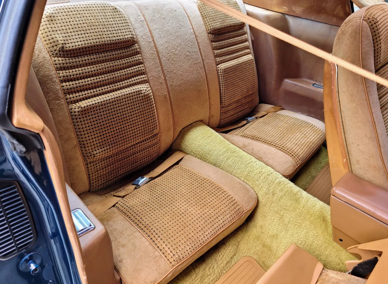 Used 1979 Pontiac Trans Am WS6 | Mundelein, IL
