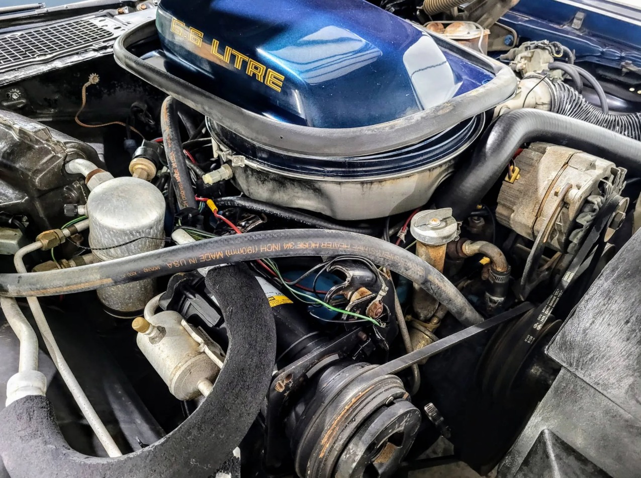 Used 1979 Pontiac Trans Am WS6 | Mundelein, IL