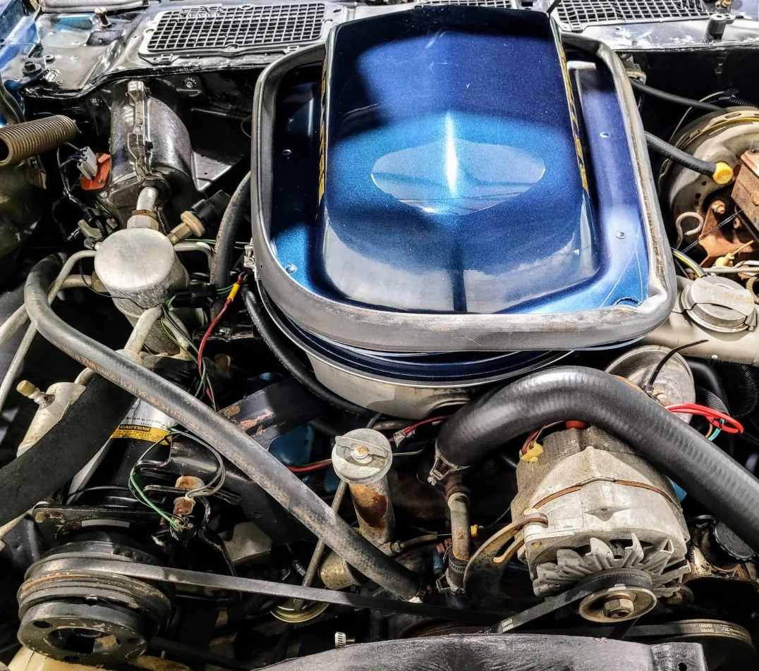 Used 1979 Pontiac Trans Am WS6 | Mundelein, IL