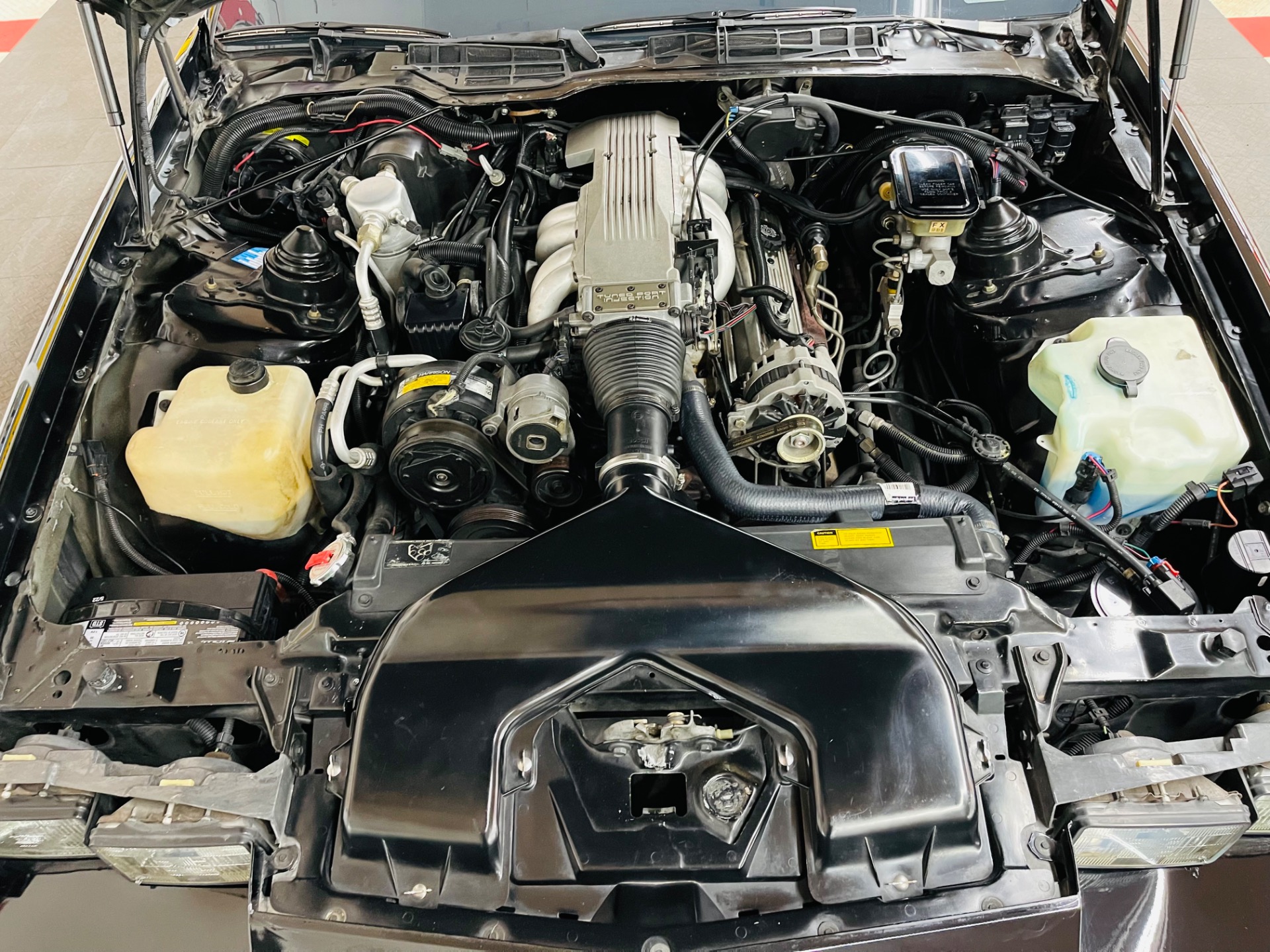 Used 1988 Chevrolet Camaro - IROC Z - CONVERTIBLE - SEE VIDEO | St. Petersburg, FL