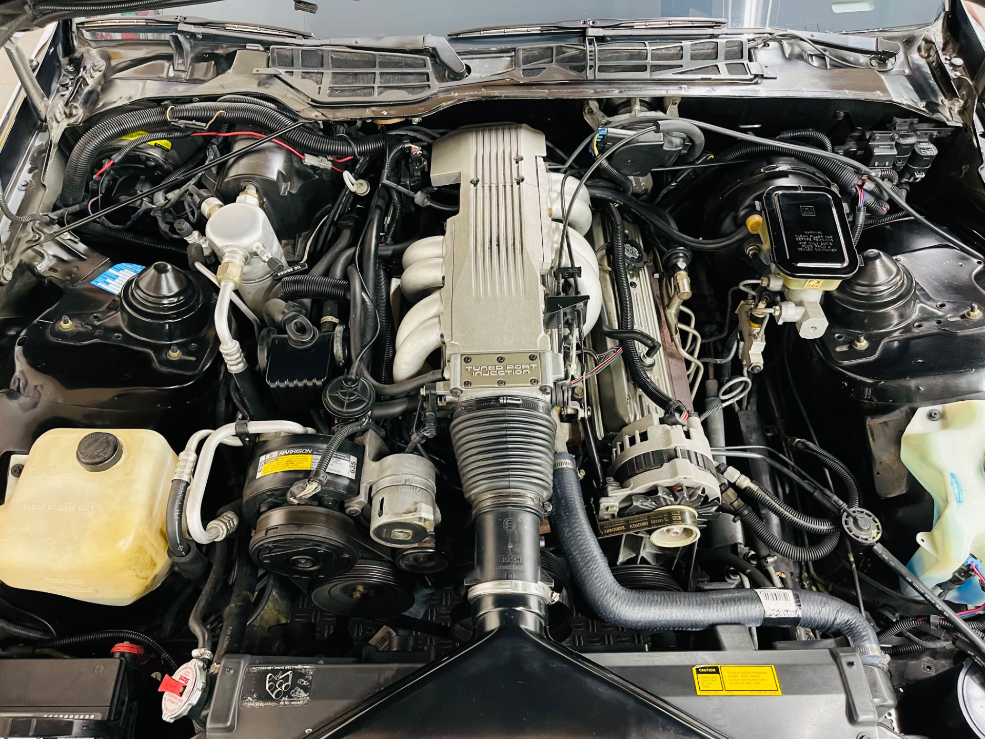 Used 1988 Chevrolet Camaro - IROC Z - CONVERTIBLE - SEE VIDEO | St. Petersburg, FL