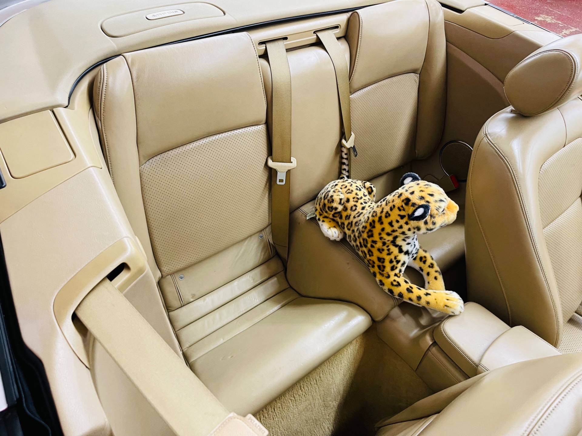 Used 2008 Jaguar XK - CONVERTIBLE - LOW MILES - SEE VIDEO | St. Petersburg, FL