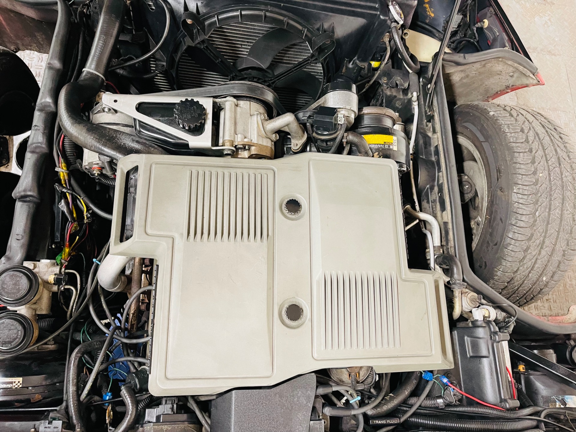Used 1984 Chevrolet Corvette | St. Petersburg, FL