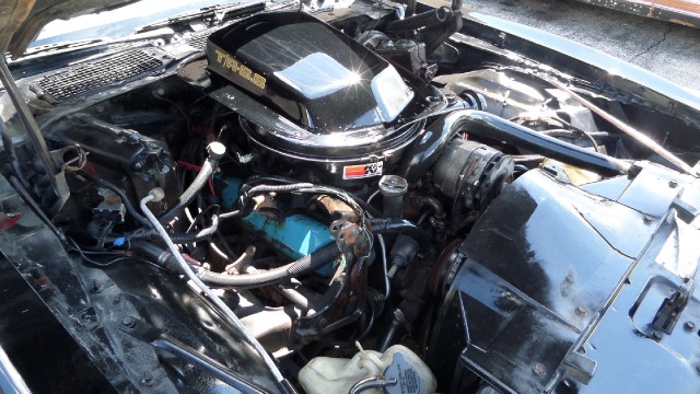 Used 1979 Pontiac Trans Am T-Tops-Smokey and the bandit-NEW PAINT JULY 2013-SEE VIDEOS | Mundelein, IL
