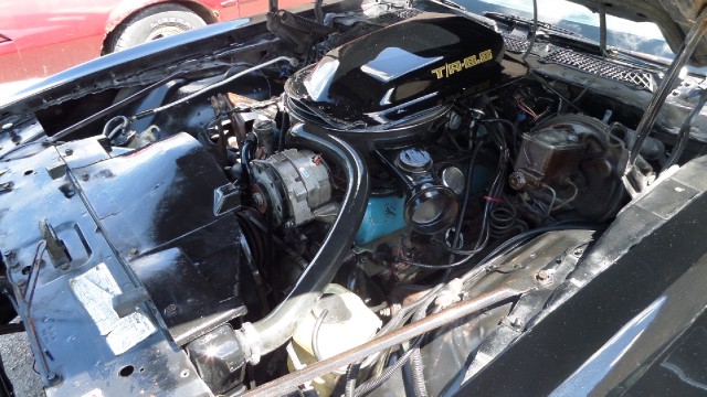 Used 1979 Pontiac Trans Am T-Tops-Smokey and the bandit-NEW PAINT JULY 2013-SEE VIDEOS | Mundelein, IL