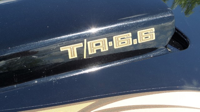 Used 1979 Pontiac Trans Am T-Tops-Smokey and the bandit-NEW PAINT JULY 2013-SEE VIDEOS | Mundelein, IL