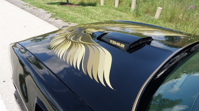 Used 1979 Pontiac Trans Am T-Tops-Smokey and the bandit-NEW PAINT JULY 2013-SEE VIDEOS | Mundelein, IL