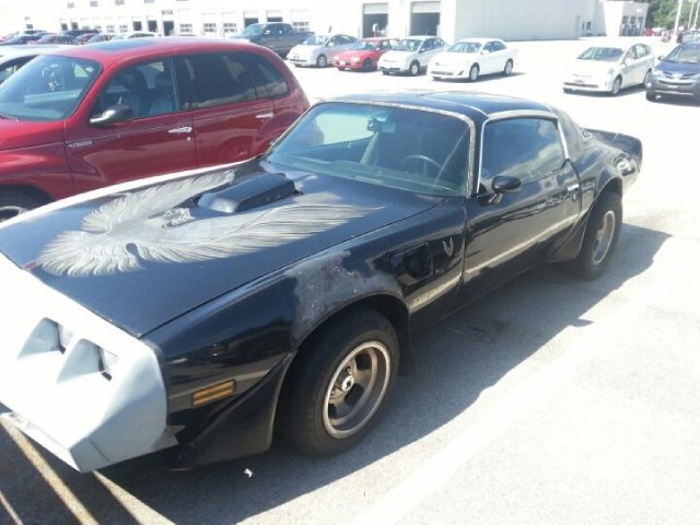 Used 1979 Pontiac Trans Am T-Tops-Smokey and the bandit-NEW PAINT JULY 2013-SEE VIDEOS | Mundelein, IL