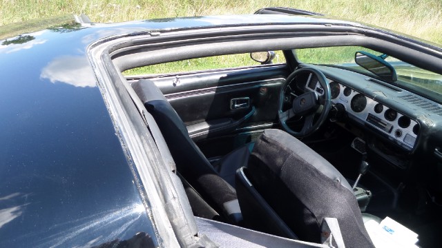 Used 1979 Pontiac Trans Am T-Tops-Smokey and the bandit-NEW PAINT JULY 2013-SEE VIDEOS | Mundelein, IL