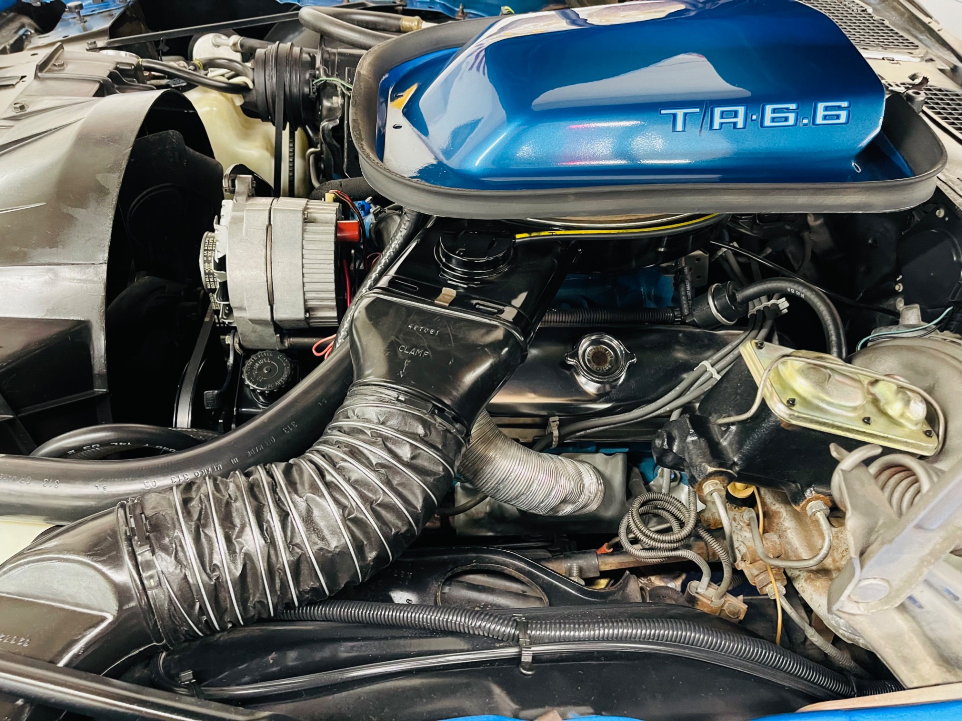 Used 1978 Pontiac Trans Am Rare Color Martinique Blue 4 speed - SEE VIDEO | Mundelein, IL