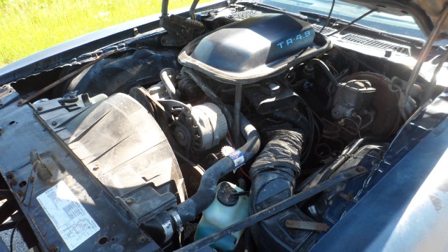 Used 1980 Pontiac Trans Am 1 Owner- See Video | Mundelein, IL