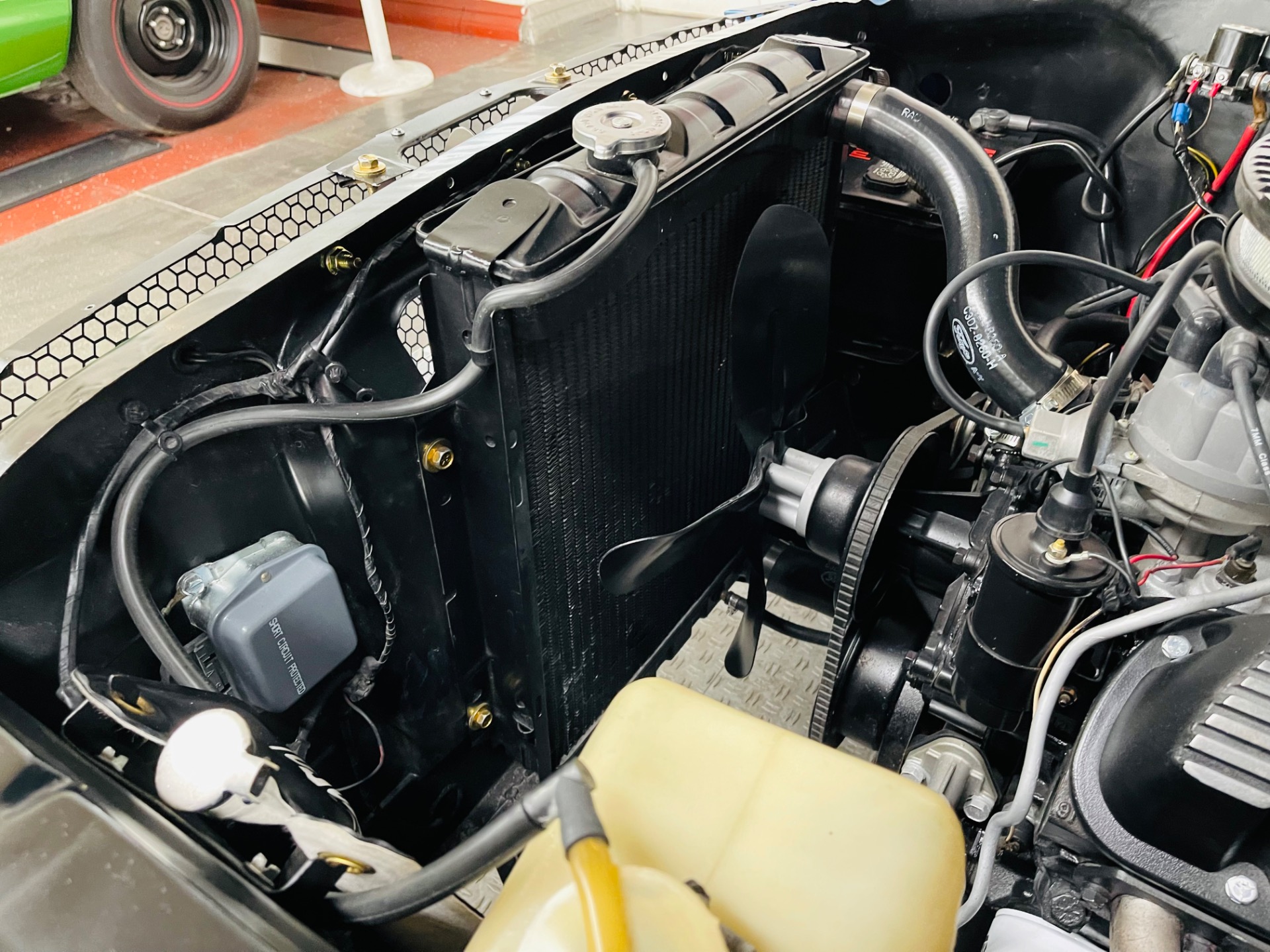 Used 1965 Ford Mustang - SHELBY GT350 TRIBUTE - HIGH QUALITY RESTORATION - SEE VIDEO | St. Petersburg, FL