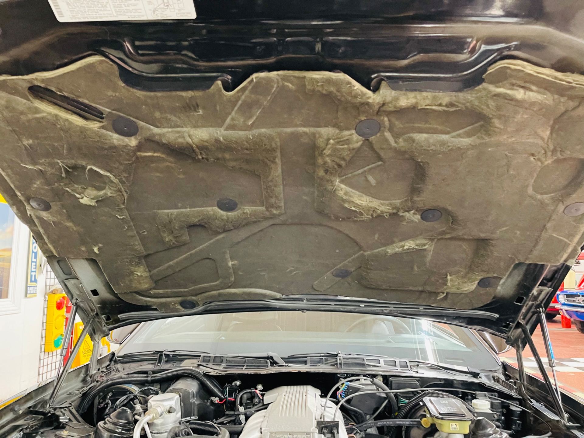 Used 1988 Pontiac Firebird - GTA - VERY LOW MILES - T-TOP 5 SPEED - SEE VIDEO | St. Petersburg, FL