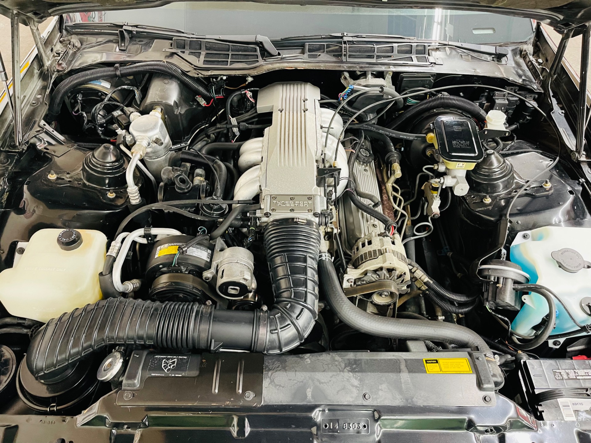 Used 1988 Pontiac Firebird - GTA - VERY LOW MILES - T-TOP 5 SPEED - SEE VIDEO | St. Petersburg, FL