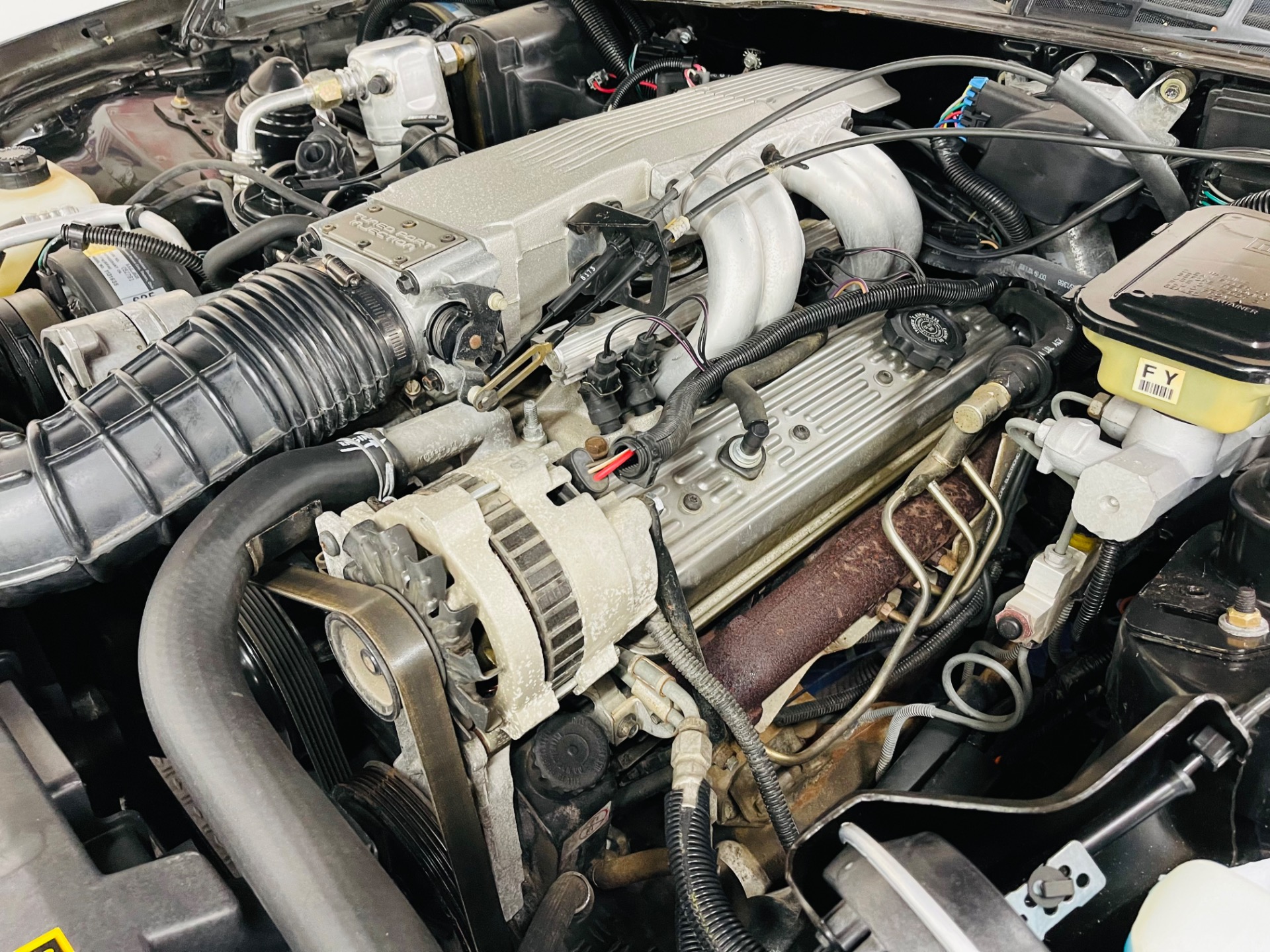 Used 1988 Pontiac Firebird - GTA - VERY LOW MILES - T-TOP 5 SPEED - SEE VIDEO | St. Petersburg, FL