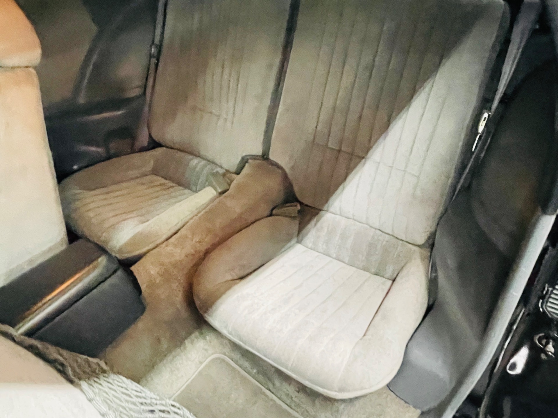 Used 1989 Pontiac Firebird Trans Am T-Tops-SEE VIDEO | Mundelein, IL