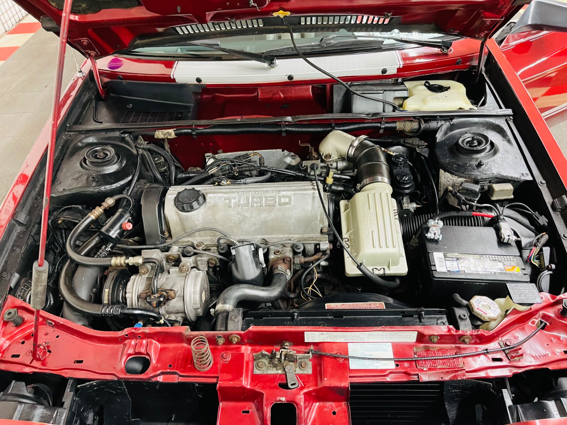 Used 1985 Dodge Charger Shelby Turbo-SEE VIDEO | St. Petersburg, FL
