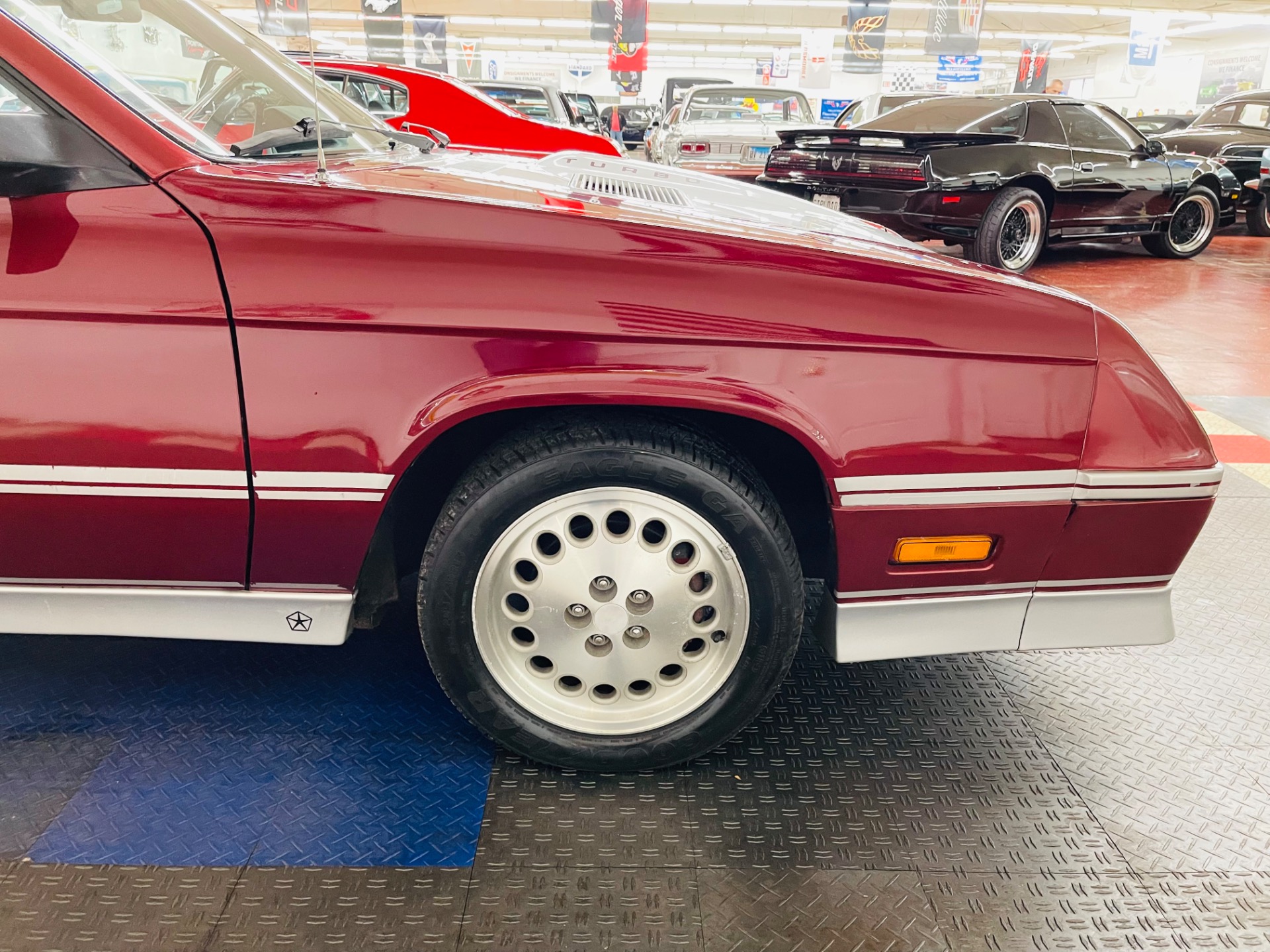 Used 1985 Dodge Charger Shelby Turbo-SEE VIDEO | St. Petersburg, FL