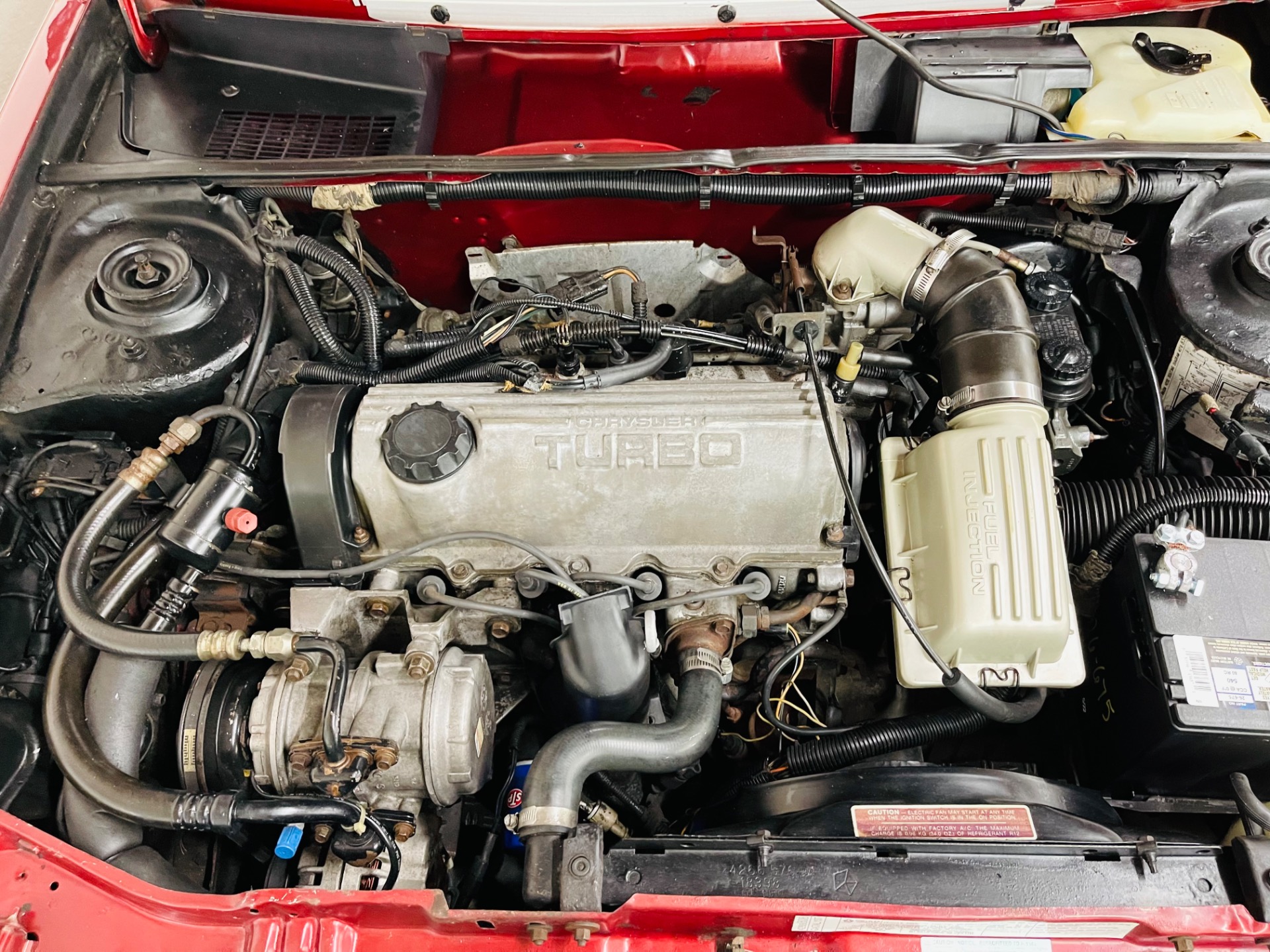 Used 1985 Dodge Charger Shelby Turbo-SEE VIDEO | St. Petersburg, FL