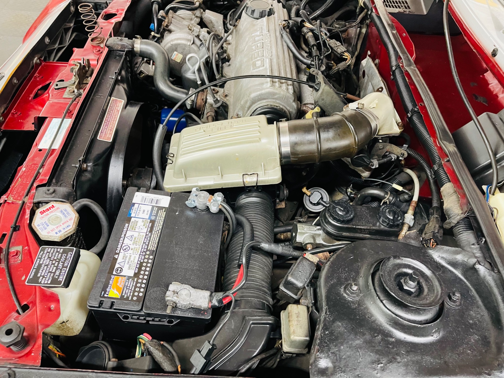 Used 1985 Dodge Charger Shelby Turbo-SEE VIDEO | St. Petersburg, FL