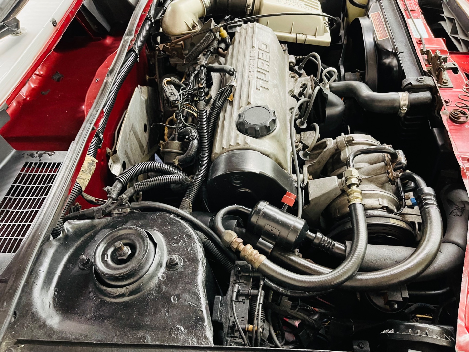 Used 1985 Dodge Charger Shelby Turbo-SEE VIDEO | St. Petersburg, FL