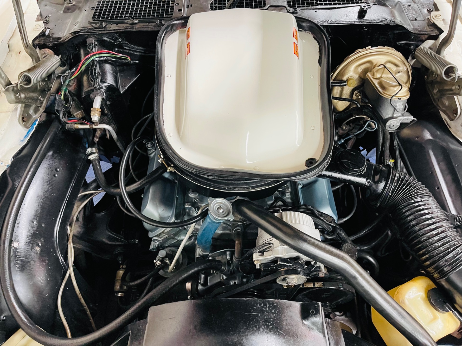 Used 1979 Pontiac Firebird - TRANS AM - SEE VIDEO | St. Petersburg, FL