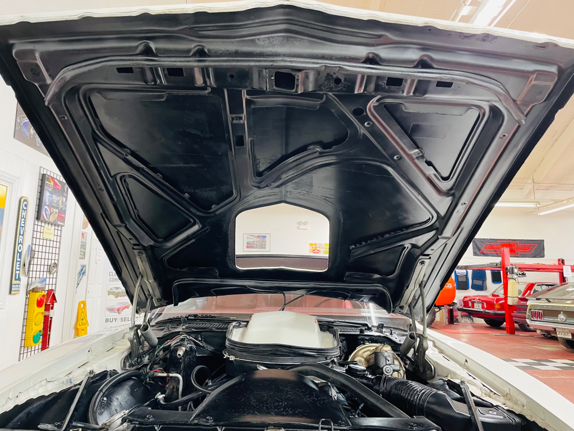 Used 1979 Pontiac Firebird - TRANS AM - SEE VIDEO | St. Petersburg, FL