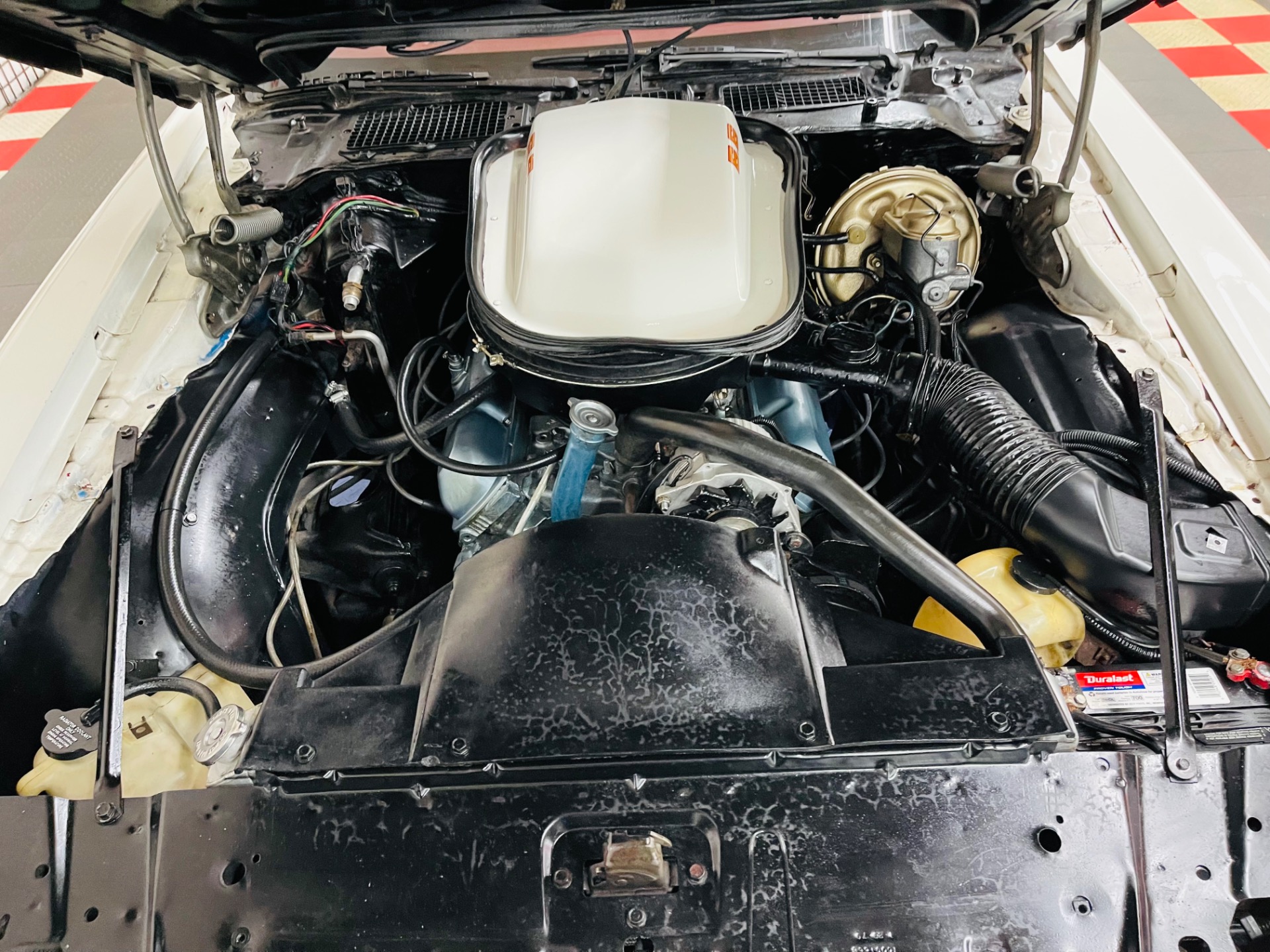 Used 1979 Pontiac Firebird - TRANS AM - SEE VIDEO | St. Petersburg, FL