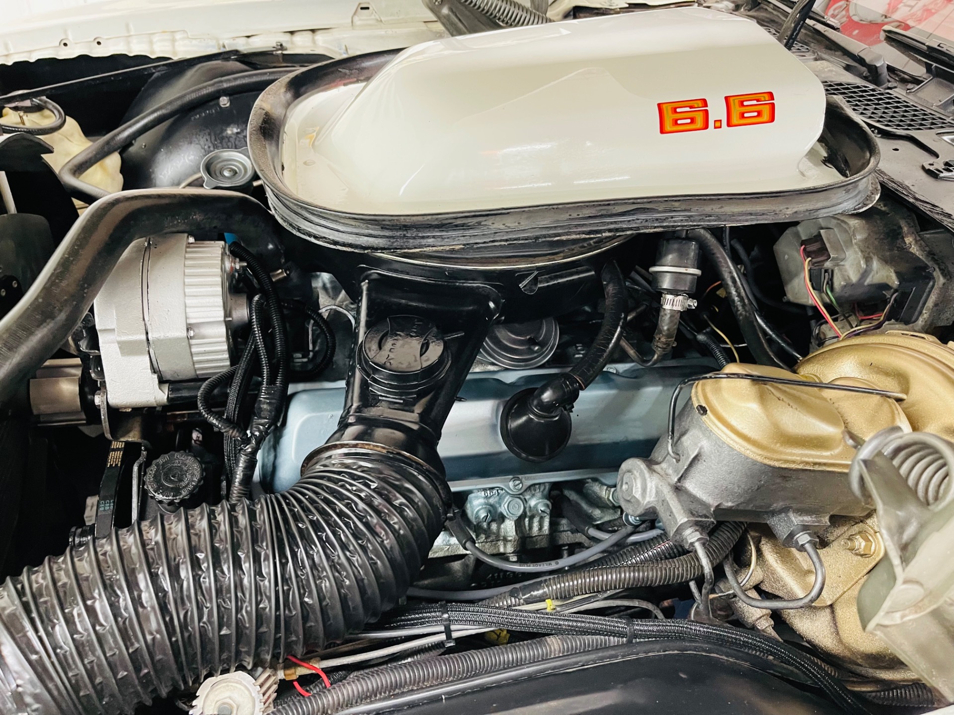 Used 1979 Pontiac Firebird - TRANS AM - SEE VIDEO | St. Petersburg, FL