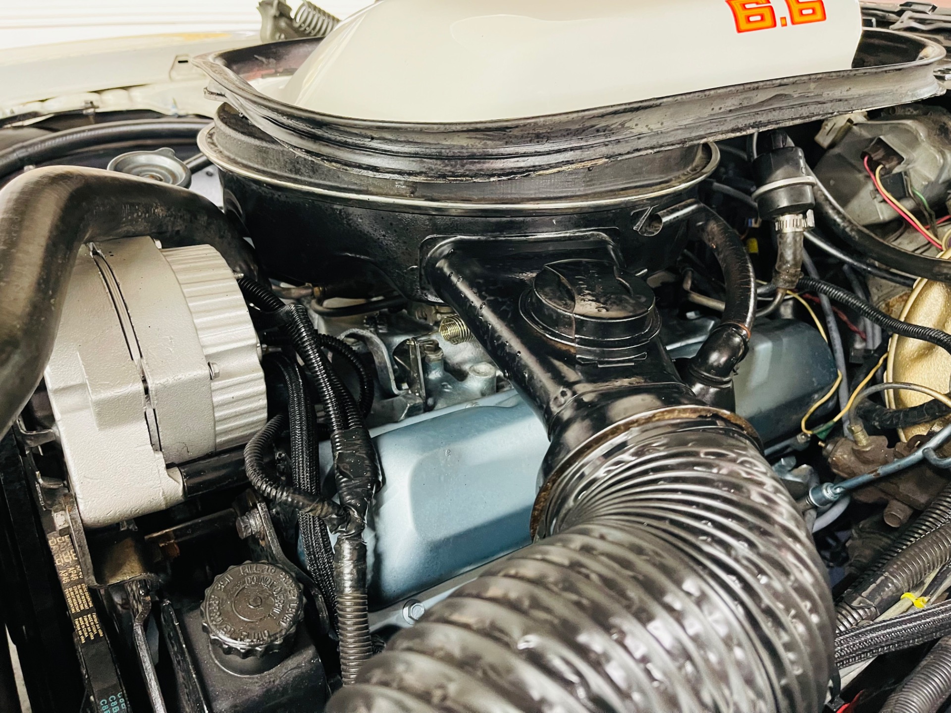 Used 1979 Pontiac Firebird - TRANS AM - SEE VIDEO | St. Petersburg, FL