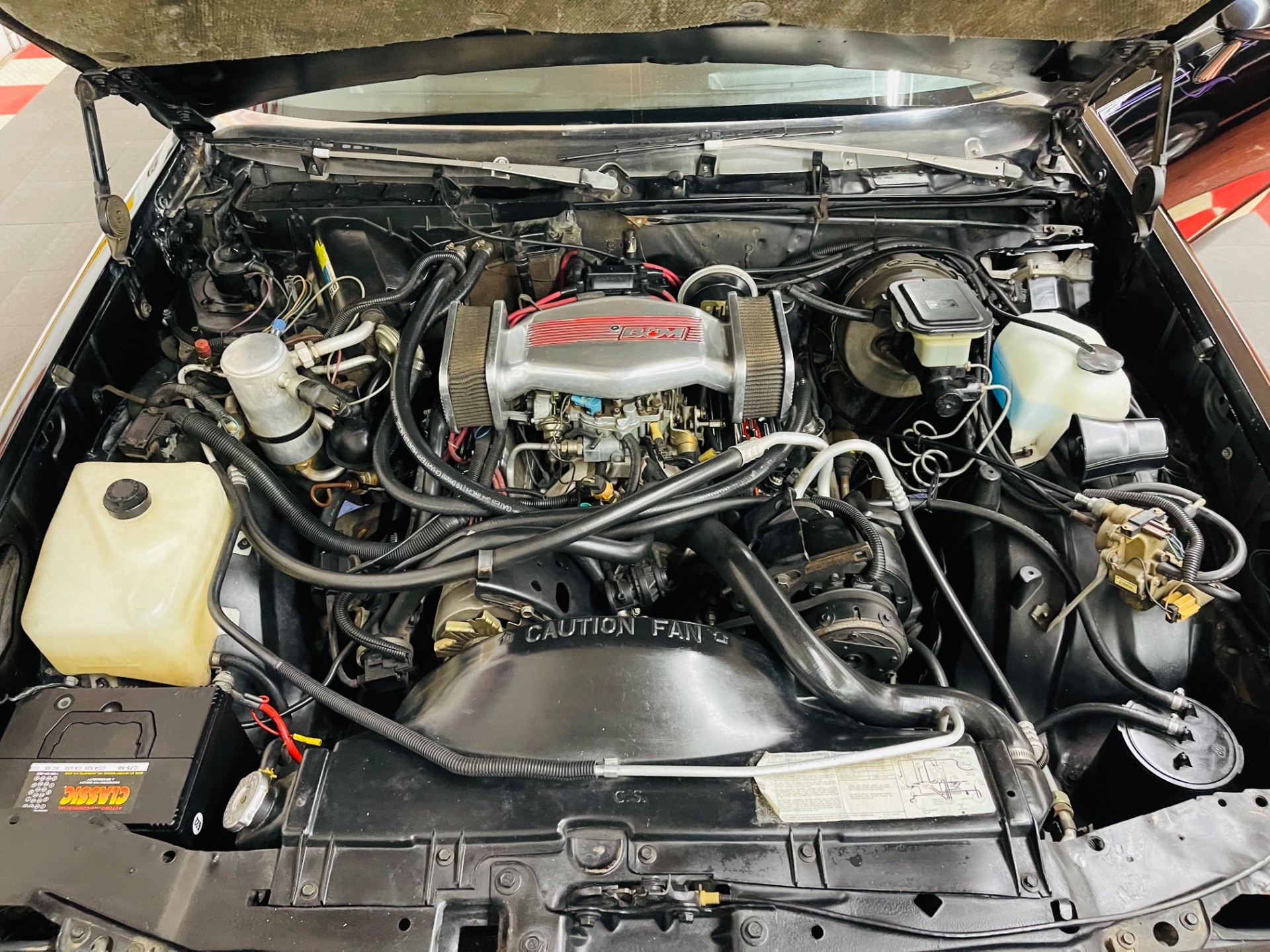 Used 1982 Chevrolet El Camino - CLEAN SOUTHERN VEHICLE -SEE VIDEO | St. Petersburg, FL