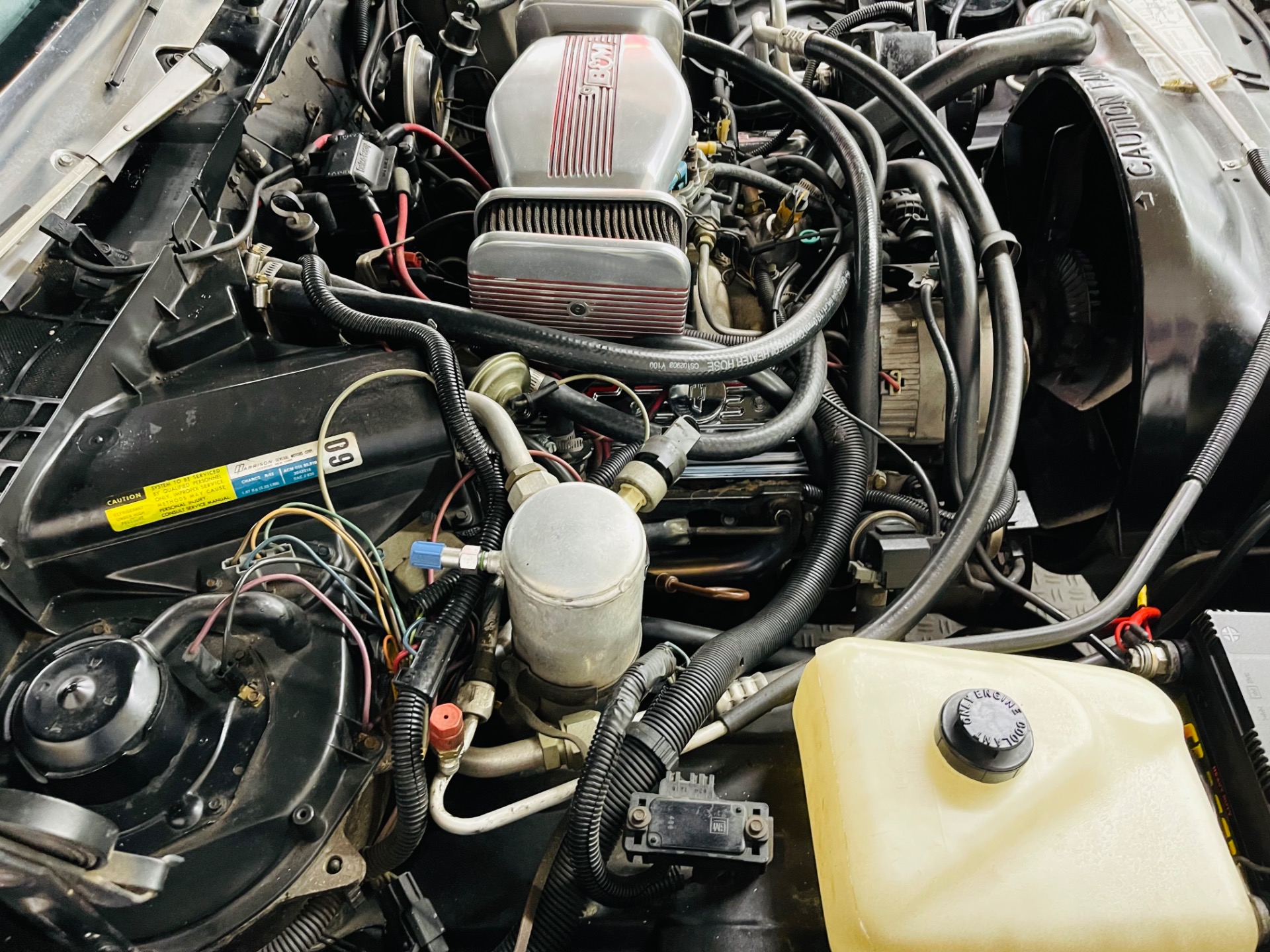 Used 1982 Chevrolet El Camino - CLEAN SOUTHERN VEHICLE -SEE VIDEO | St. Petersburg, FL