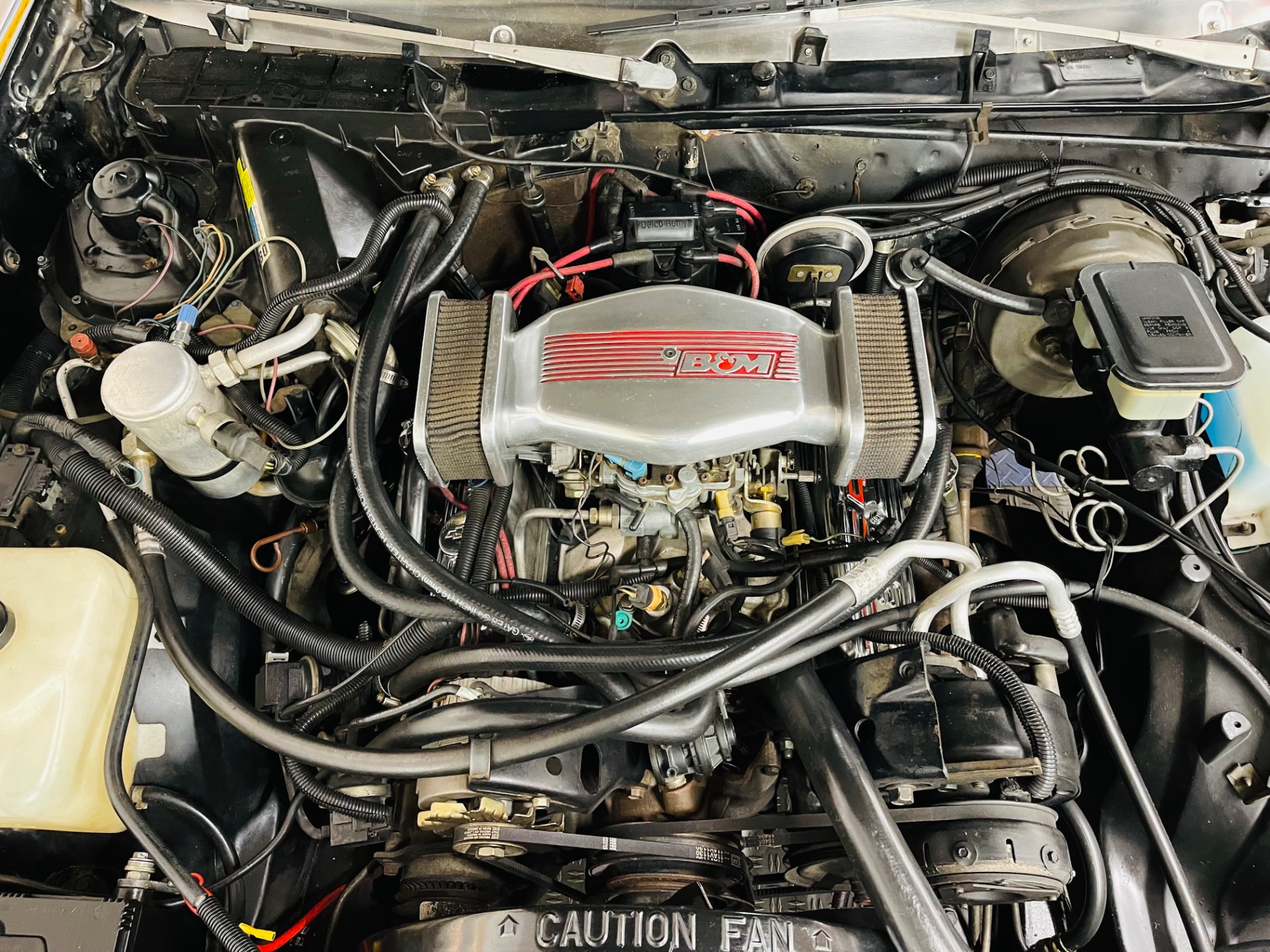 Used 1982 Chevrolet El Camino - CLEAN SOUTHERN VEHICLE -SEE VIDEO | St. Petersburg, FL