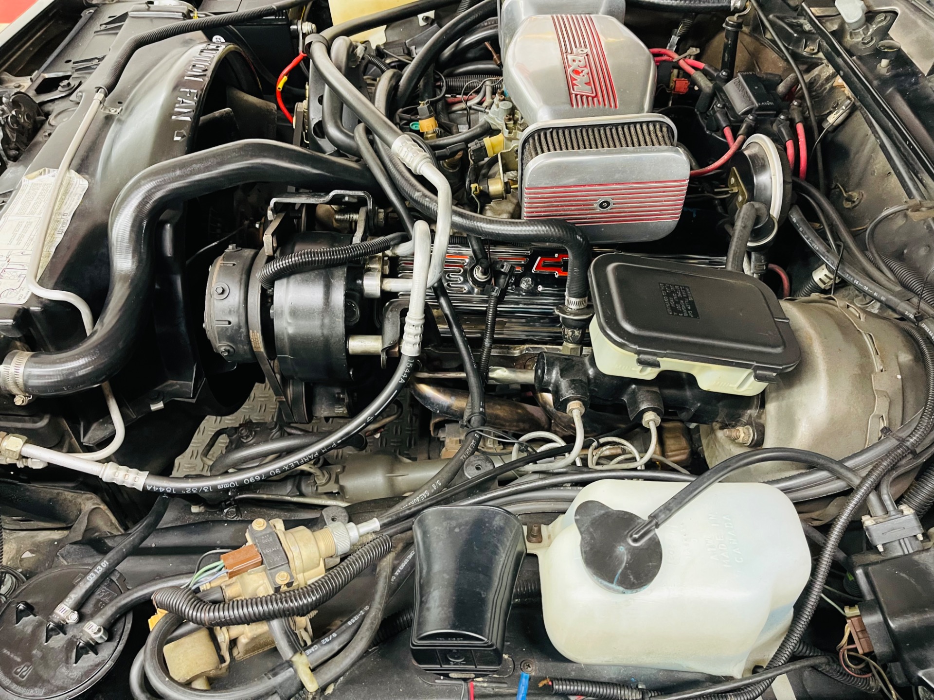 Used 1982 Chevrolet El Camino - CLEAN SOUTHERN VEHICLE -SEE VIDEO | St. Petersburg, FL