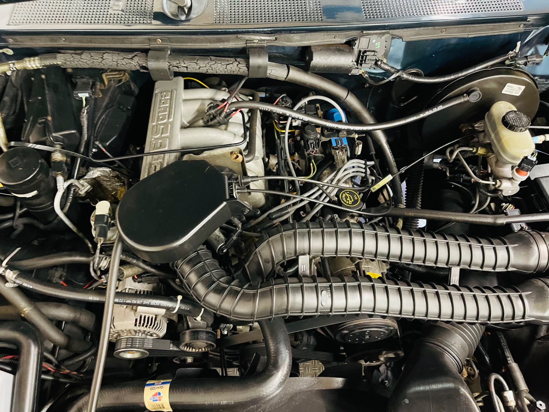 Used 1994 Ford Bronco - NEW PAINT - 351 ENGINE - SEE VIDEO | St. Petersburg, FL