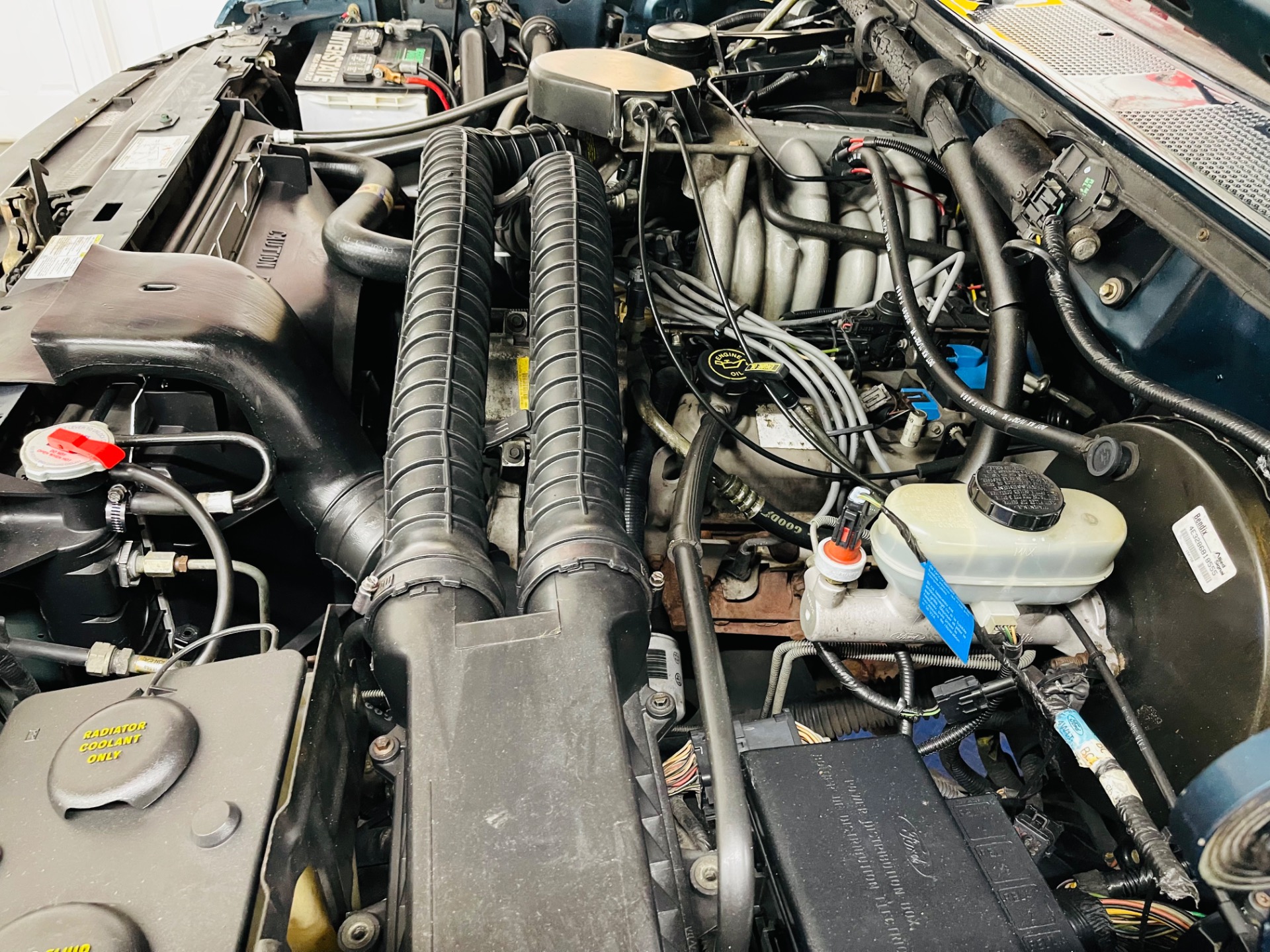 Used 1994 Ford Bronco - NEW PAINT - 351 ENGINE - SEE VIDEO | St. Petersburg, FL
