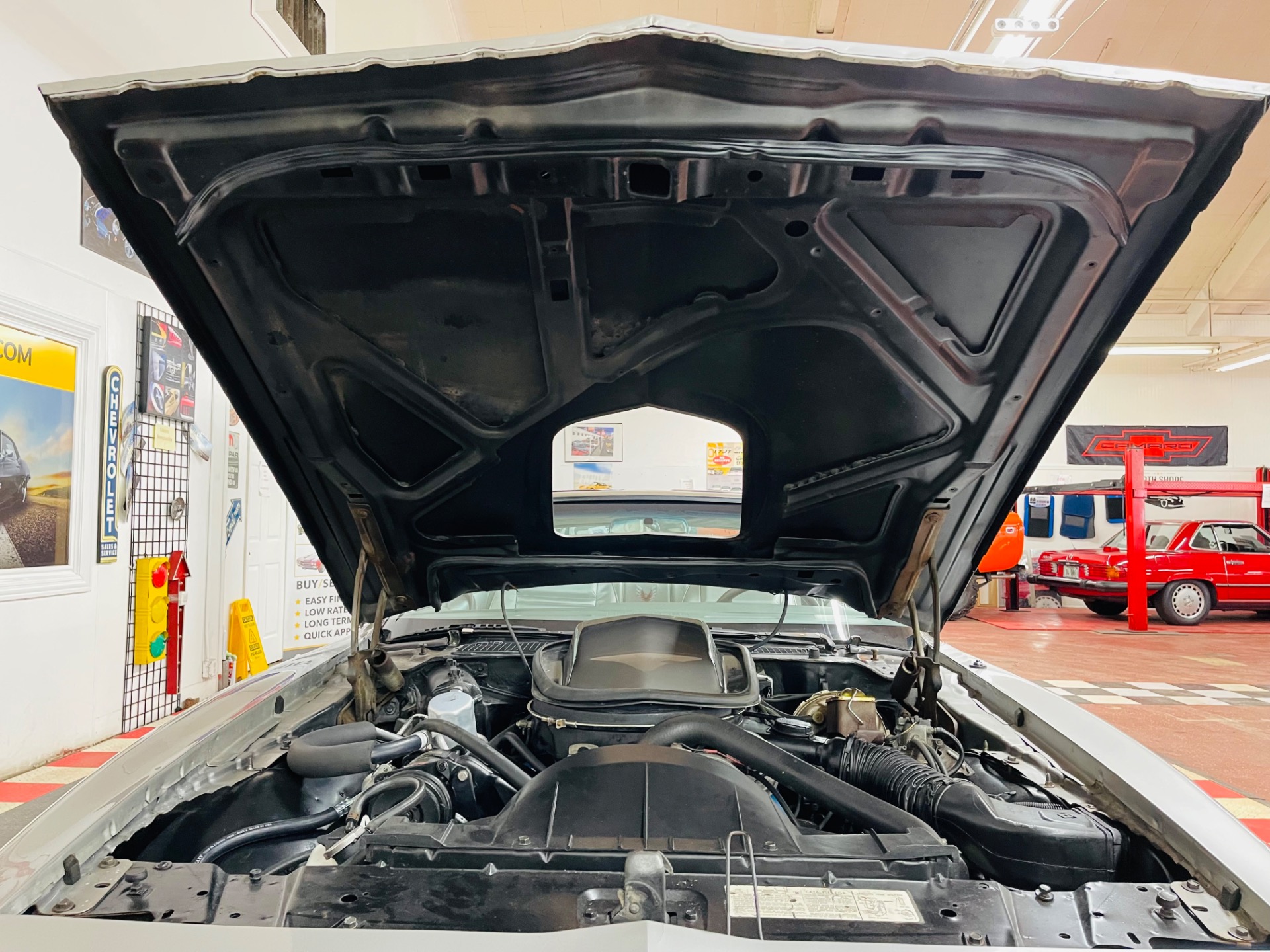 Used 1979 Pontiac Trans Am - 10th Anniversary Edition - T/Tops - SEE VIDEO | Mundelein, IL
