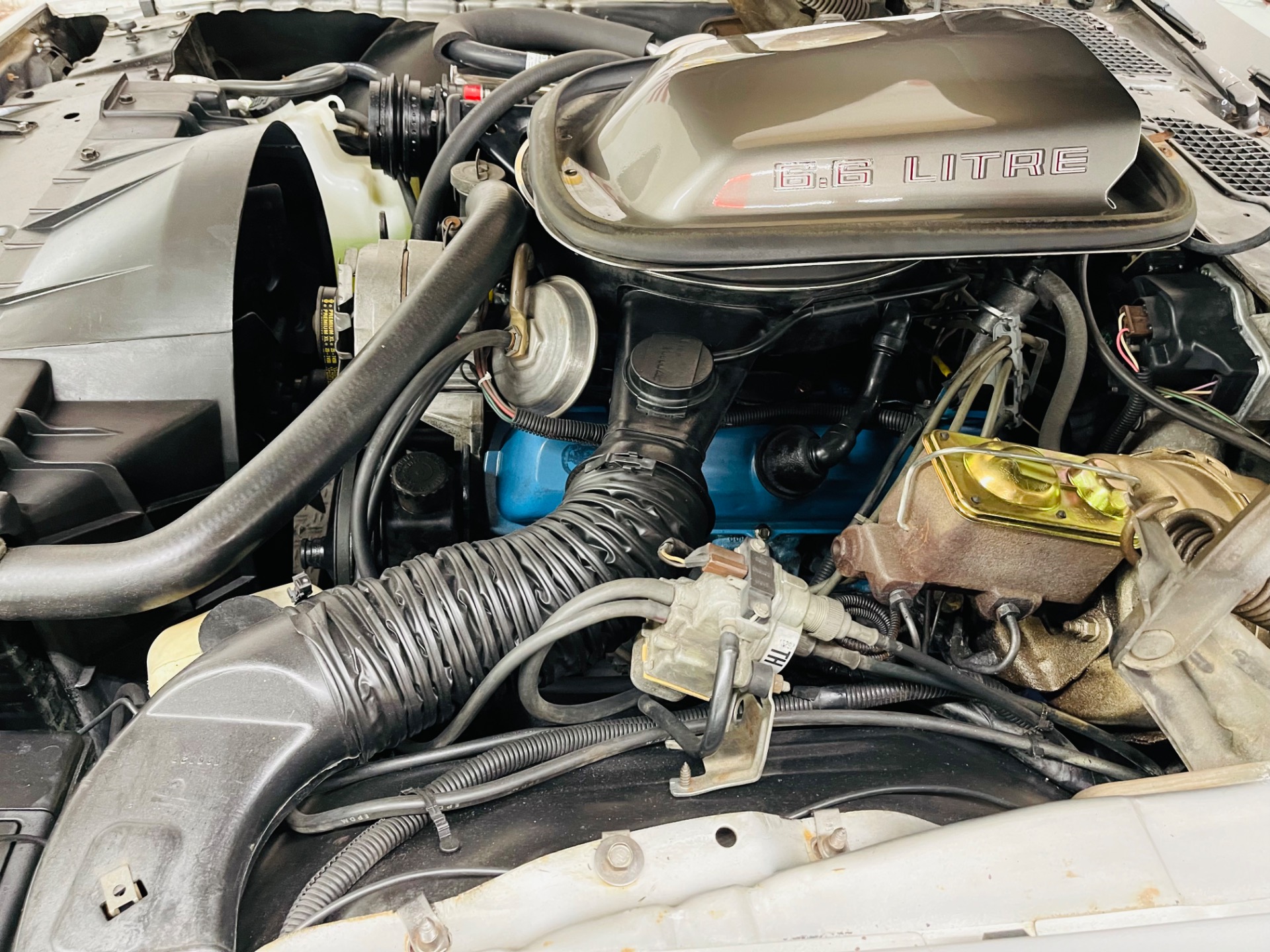 Used 1979 Pontiac Trans Am - 10th Anniversary Edition - T/Tops - SEE VIDEO | Mundelein, IL