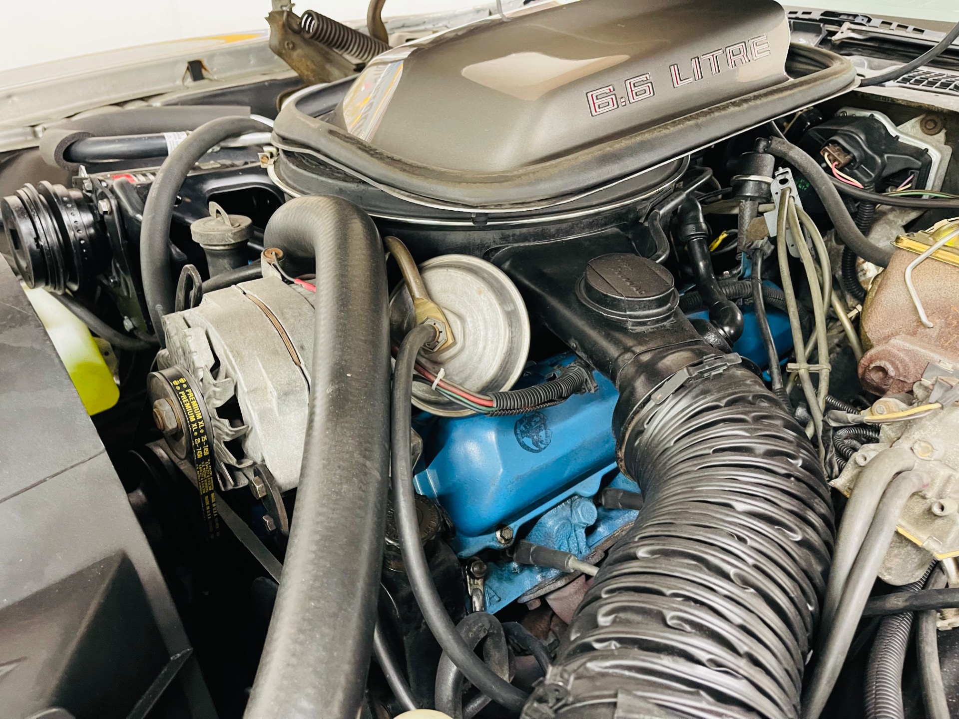 Used 1979 Pontiac Trans Am - 10th Anniversary Edition - T/Tops - SEE VIDEO | Mundelein, IL