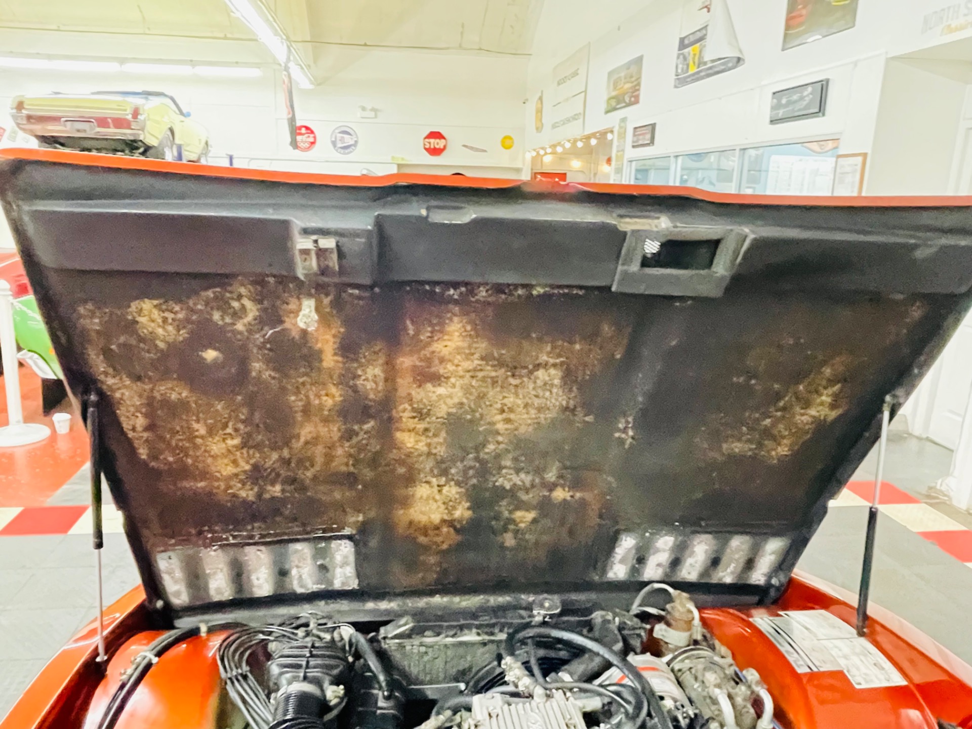 Used 1983 TVR Tasmin - CONVERTIBLE - V6 FORD ENGINE -SEE VIDEO | Mundelein, IL